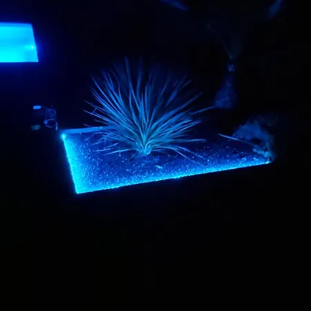 Soleil D'albi Villa *