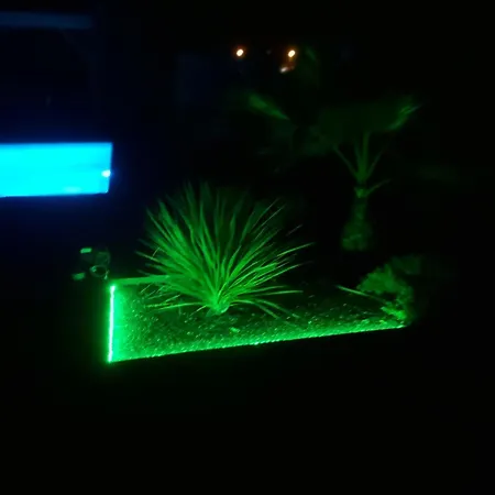 Soleil D'albi Villa Arthes