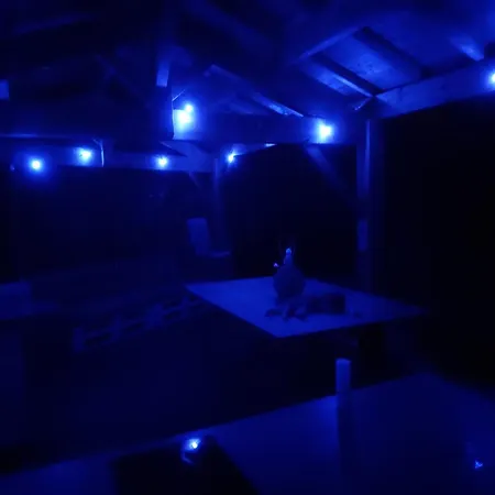 Soleil D'albi * Arthes