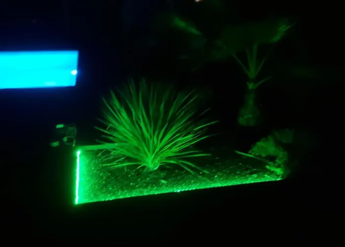 Soleil D'albi Villa Arthes